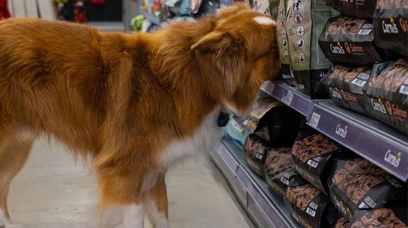 Groot assortiment, scherpe prijzen